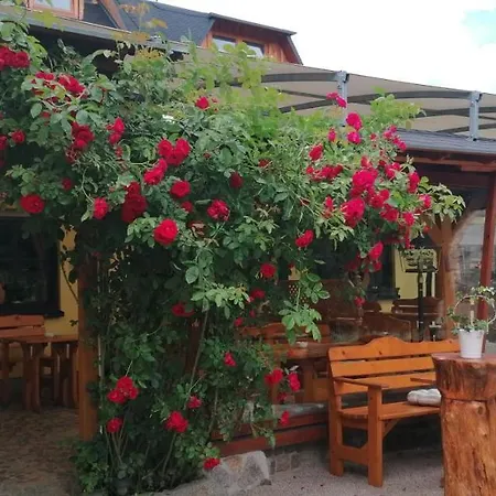 Landgasthof Plohnbachtal Ug 3* Lengenfeld (Saxony)