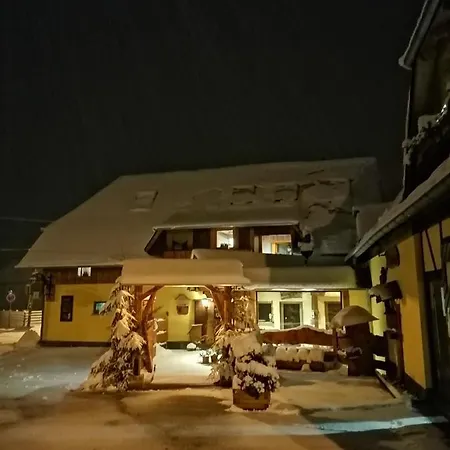 Landgasthof Plohnbachtal Ug מלון Lengenfeld (Saxony)