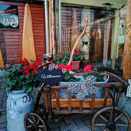 Landgasthof Plohnbachtal Ug 3* Lengenfeld (Saxony)