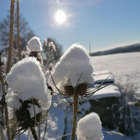 Landgasthof Plohnbachtal Ug Lengenfeld (Saxony)