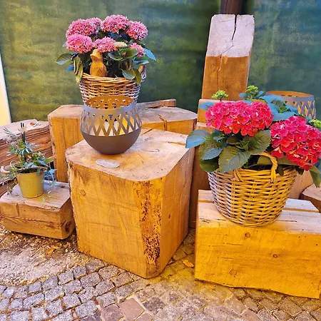 Landgasthof Plohnbachtal Ug Hotel